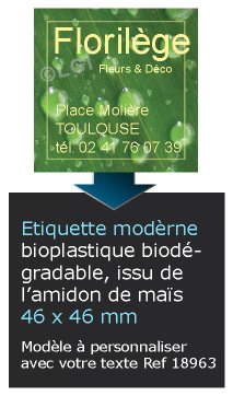 Autocollant & Étiquette Etiquette, zen attitude blanc brillant bioplastique, forme Carré 4,6x4,6 cm - modèle  vert - biodégradable Issu de lamidon de maïs n18963- Livré en rouleau