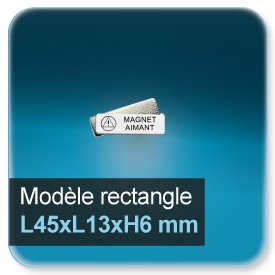 Badge Rectangle L45xL13xH6 mm - Ref7915